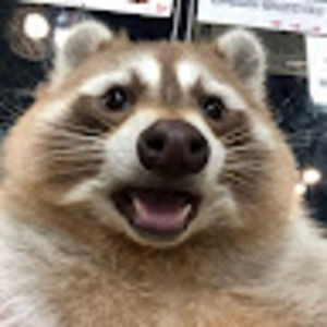 Meet your Posher, Luke